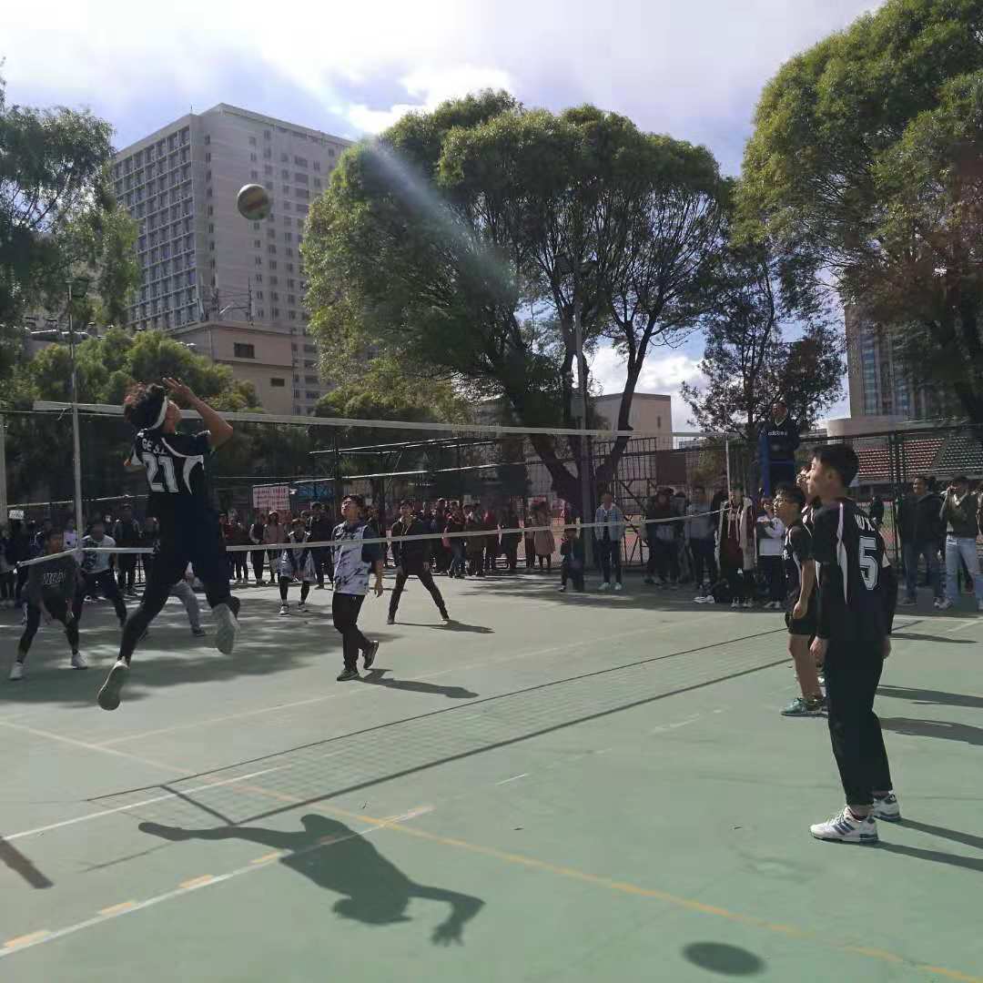 搜球体育官方线路