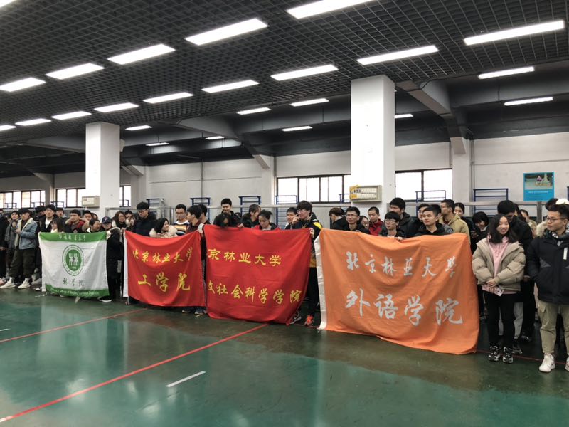 搜球体育APP下载