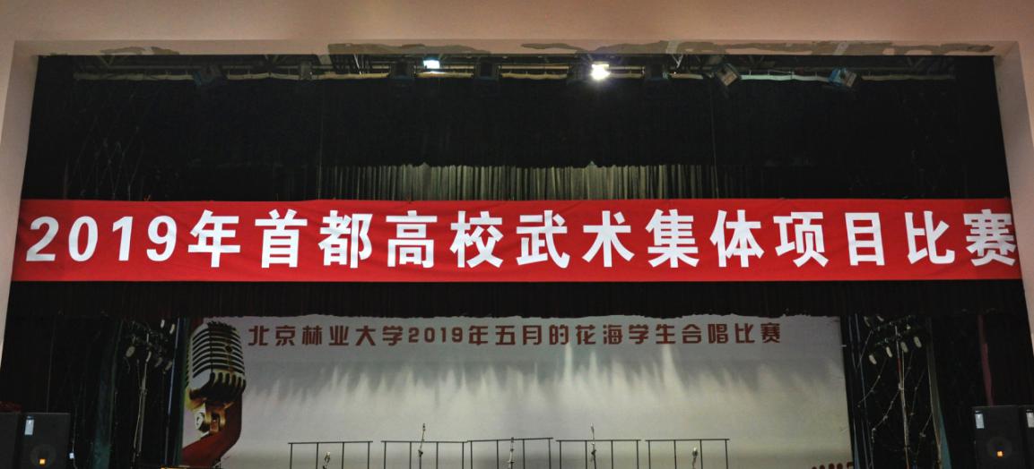 搜球体育指定入口