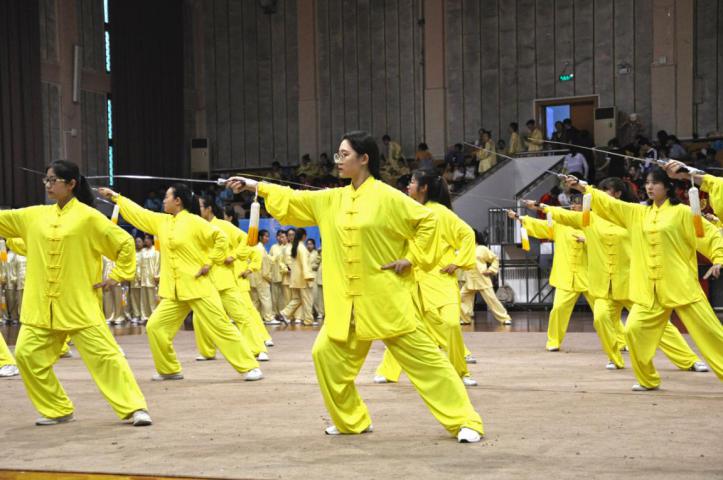 搜球体育官方指定端