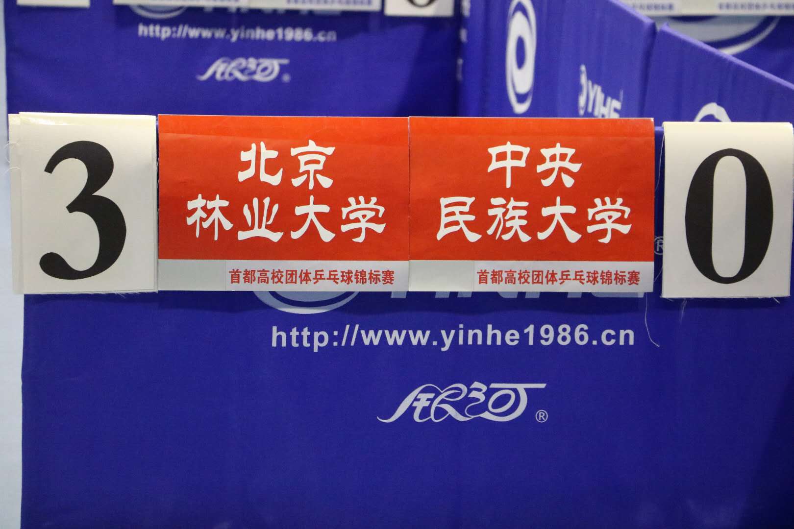 搜球体育欧洲杯