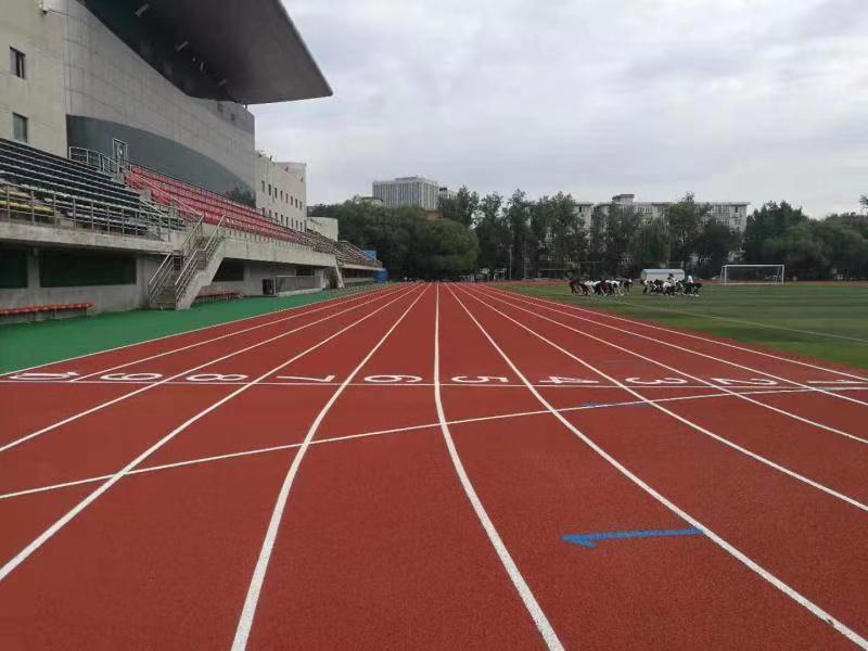 搜球体育稳定线路