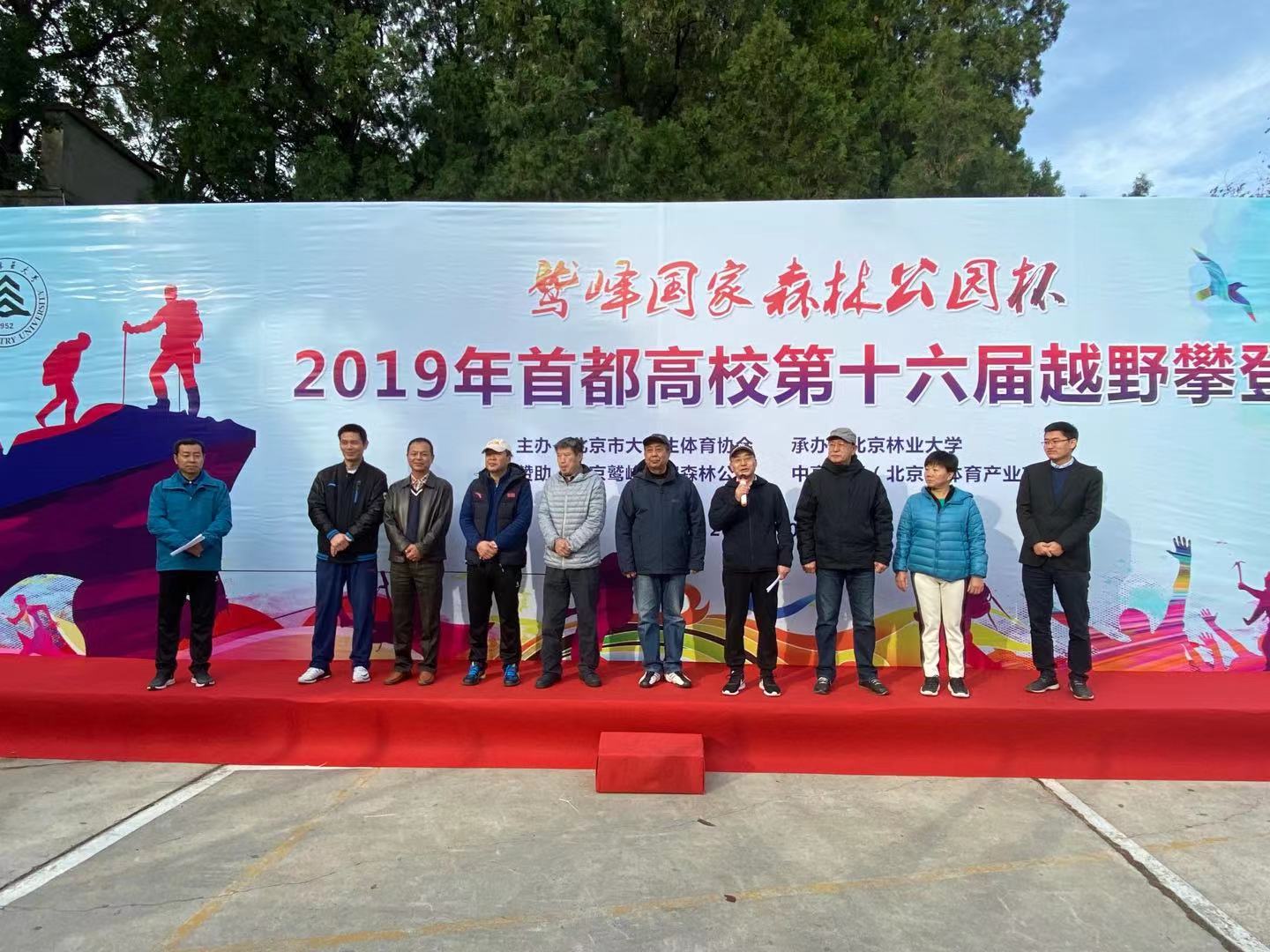 搜球体育官方指定端