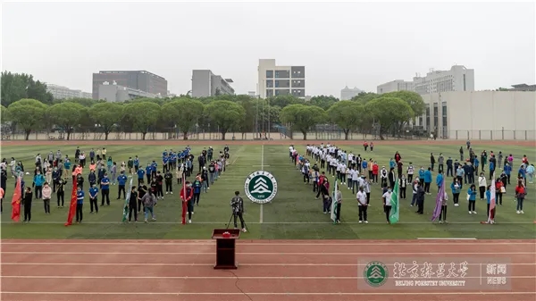 搜球体育指定入口