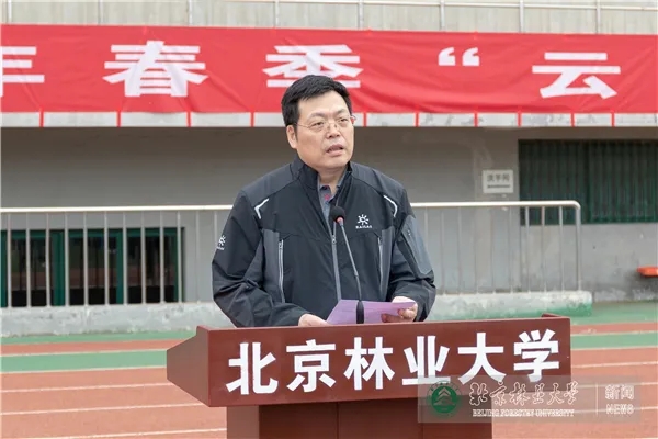搜球体育稳定线路