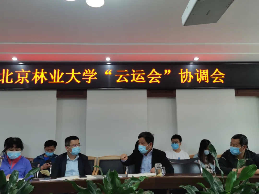 搜球体育体育频道
