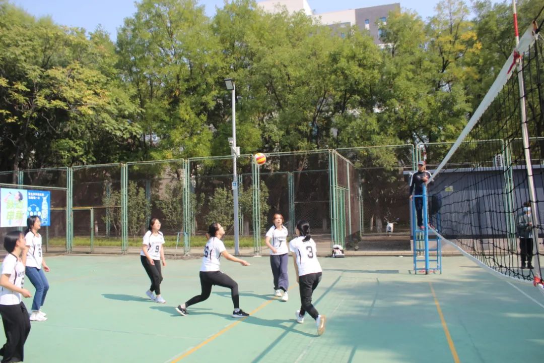 搜球体育直播