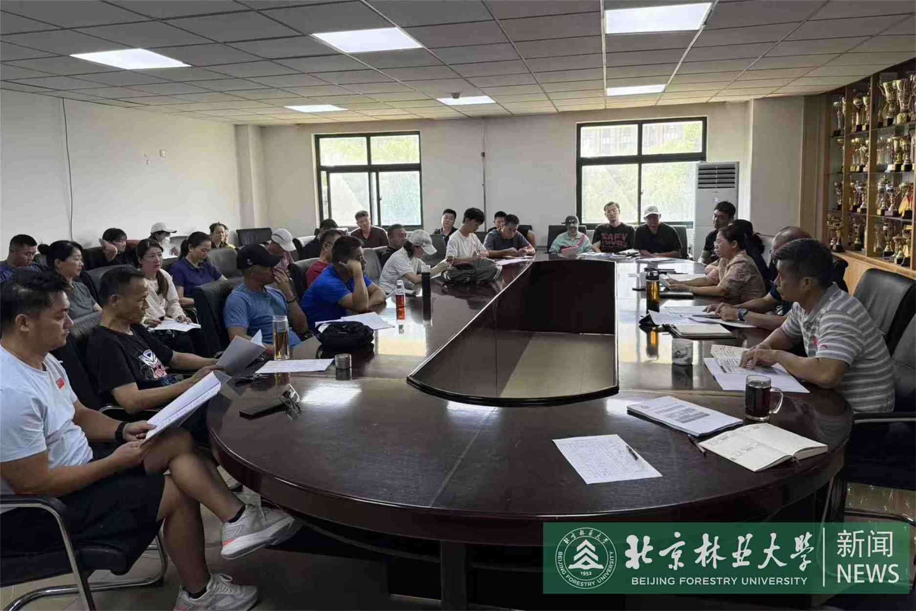 搜球体育官方线路