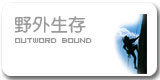 搜球体育指定通道图片