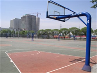 搜球体育平台图片
